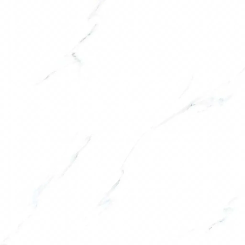 [15969] Gạch V-Tile 12.51005AC 6001 600x600 A2