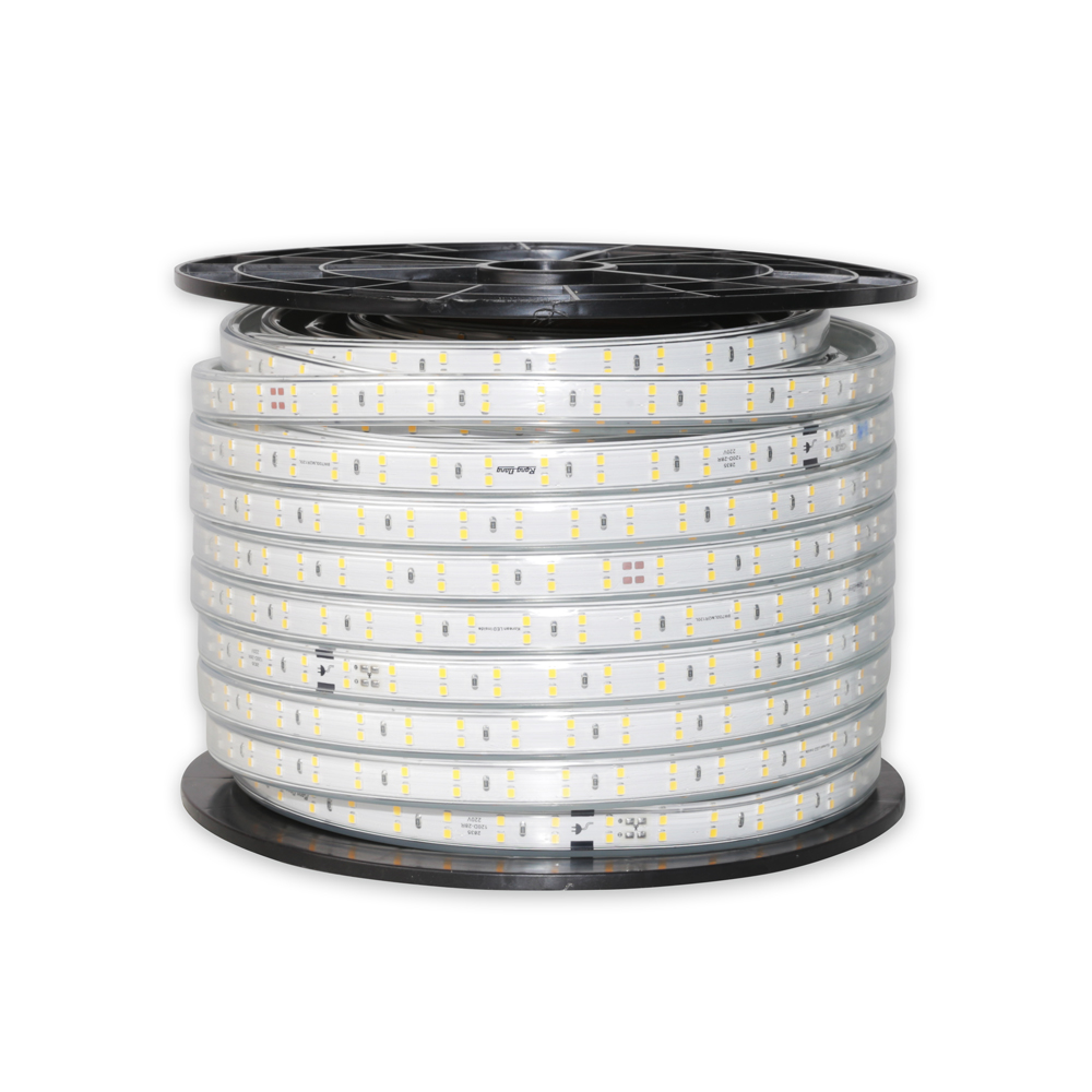 Đèn LED dây Rạng Đông 9W trắng (50m/cuộn)