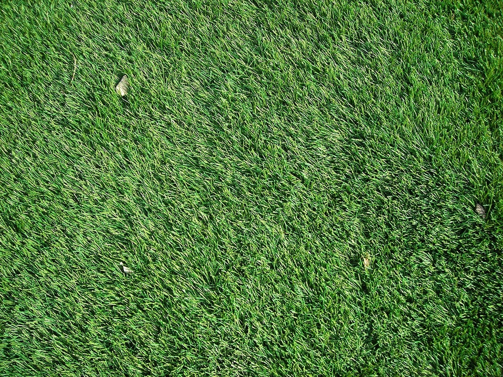 [17771] Cỏ nhân tạo Jardín 1x4m