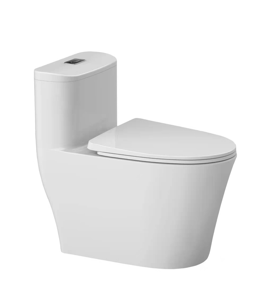 Bồn Cầu 1 Khối Premier Mã PT1 T2538