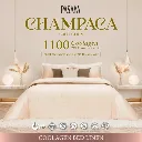 Bộ Ga Trải Giường - Cỡ Extra King Pasaya BED SHEET SET – EXTRA KING 1100TC