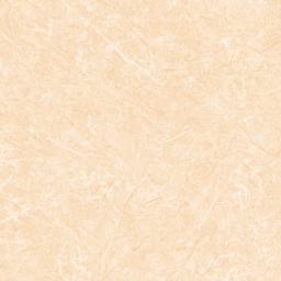 [15821] Gạch Lát Nền 60x60 Prime 13.17005