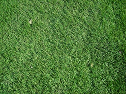 [17771] Cỏ nhân tạo Jardín 1x4m