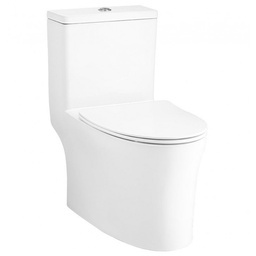 [18517] Bàn cầu Cotto 1 khối C105607 nắp êm